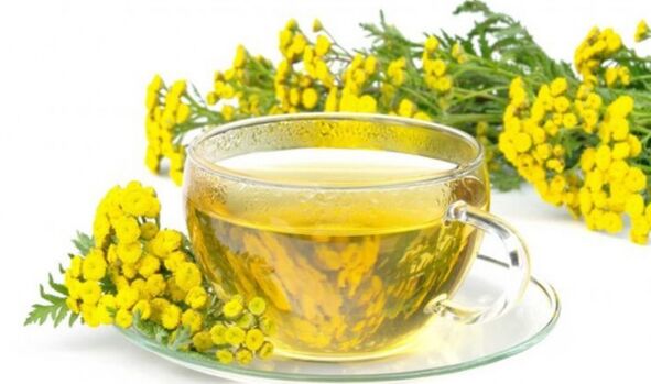 Tansy infusion effectively removes parasites