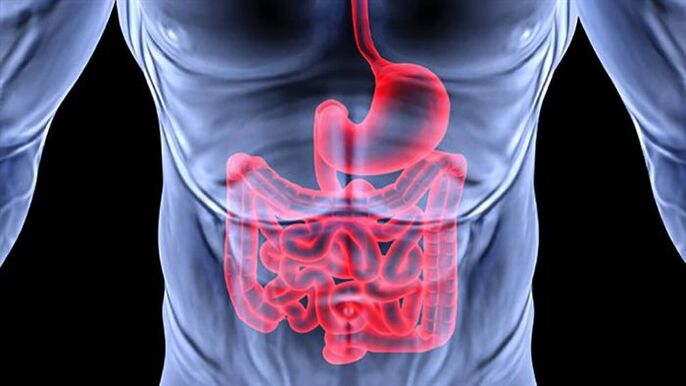 intestinal