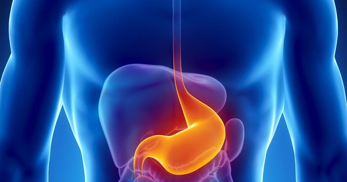 Contraindications for Cleansing Internal Parasites