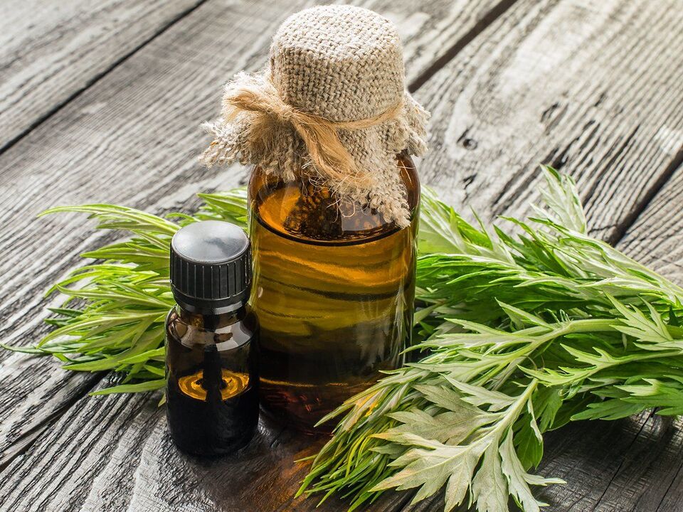 Wormwood fights parasites