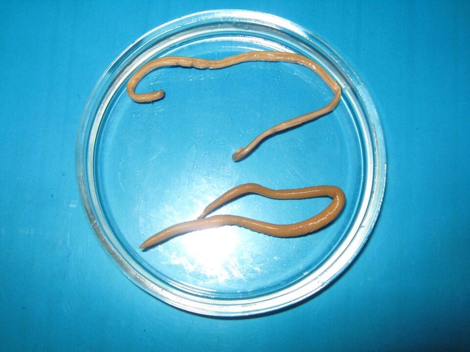 There are parasites in the body