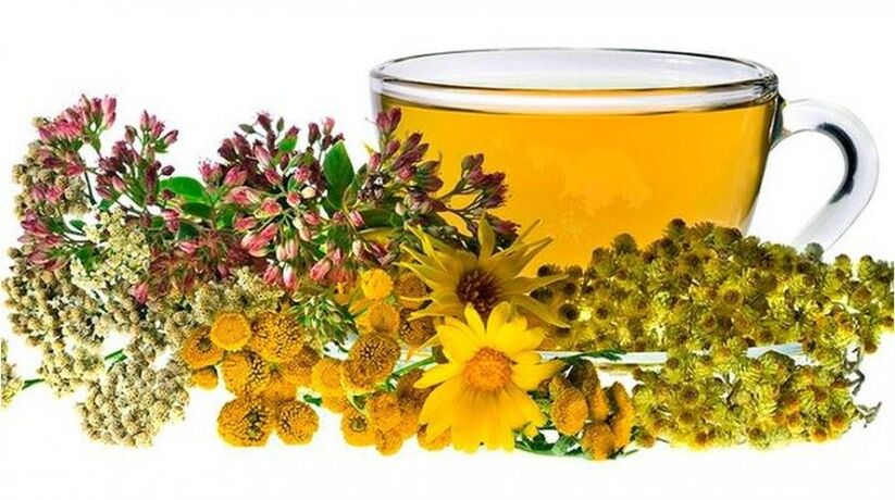 Chamomile Decoction to Treat Parasites